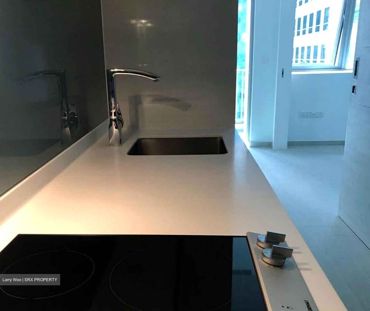 V On Shenton (D1), Apartment #615162781
